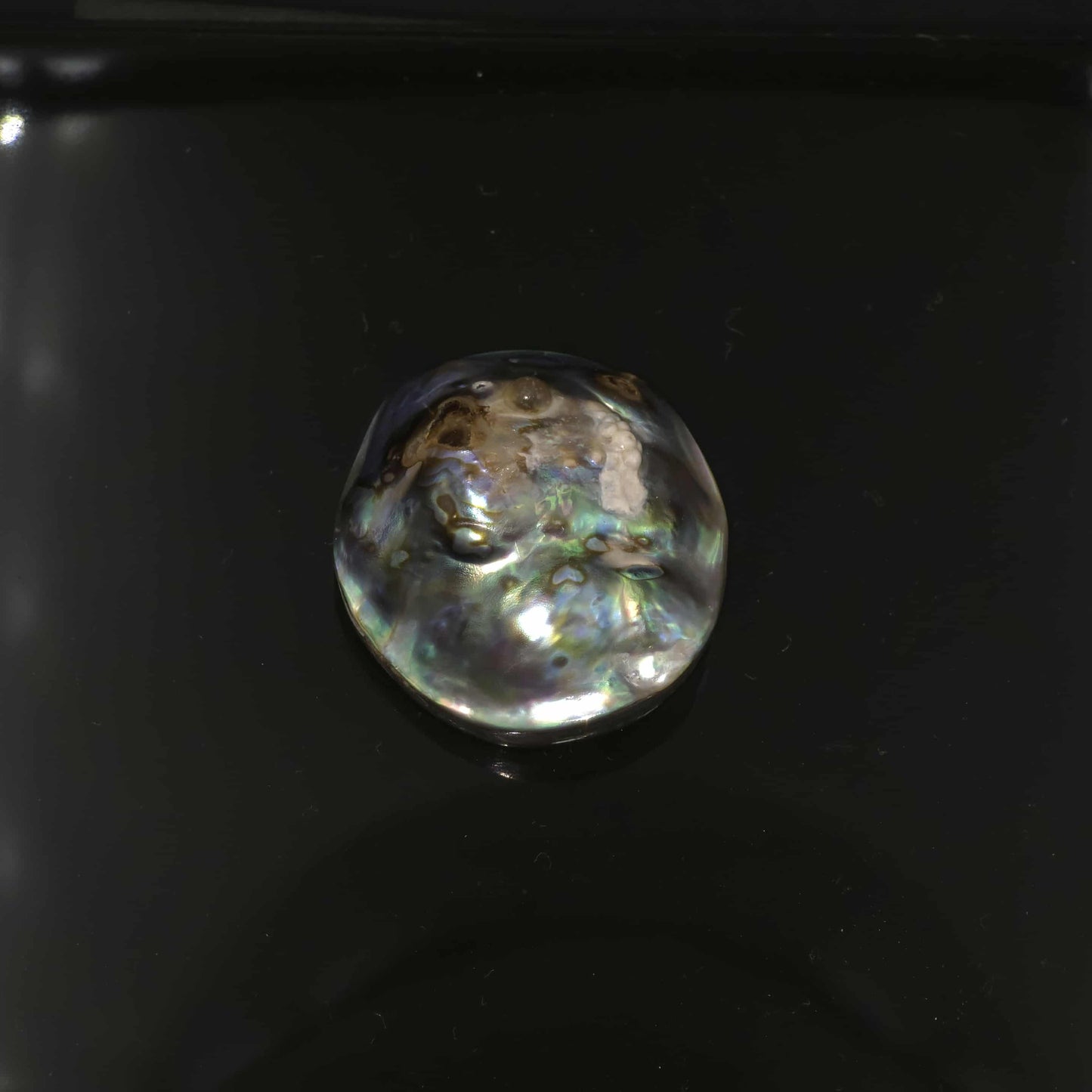 Wild Pāua Pearl Mabē