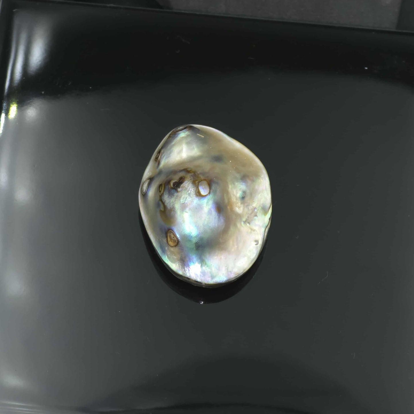 Wild Pāua Pearl Mabē