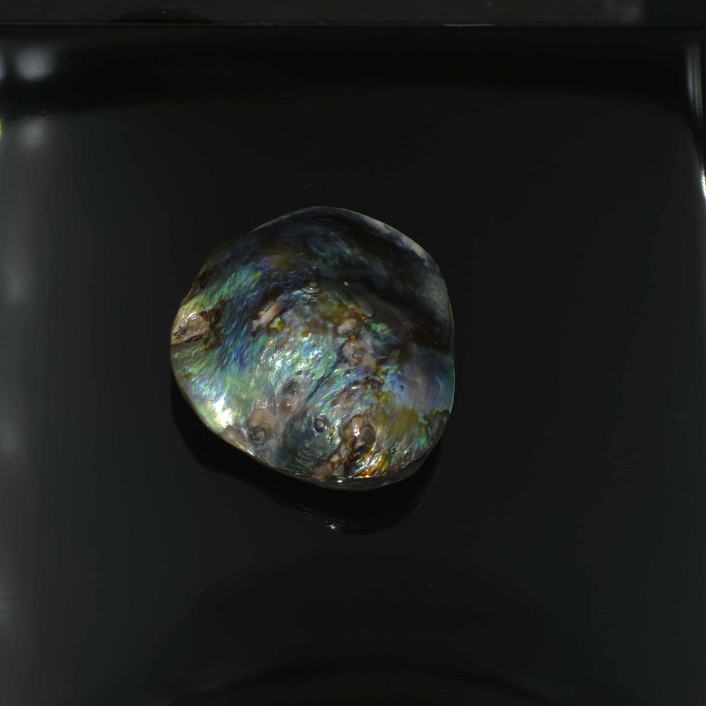 Wild Pāua Pearl Mabē