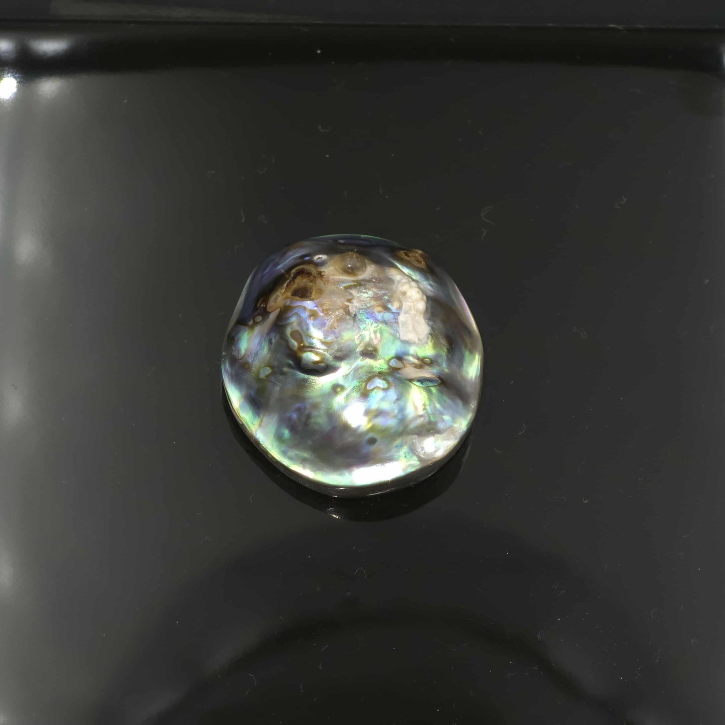 Wild Pāua Pearl Mabē