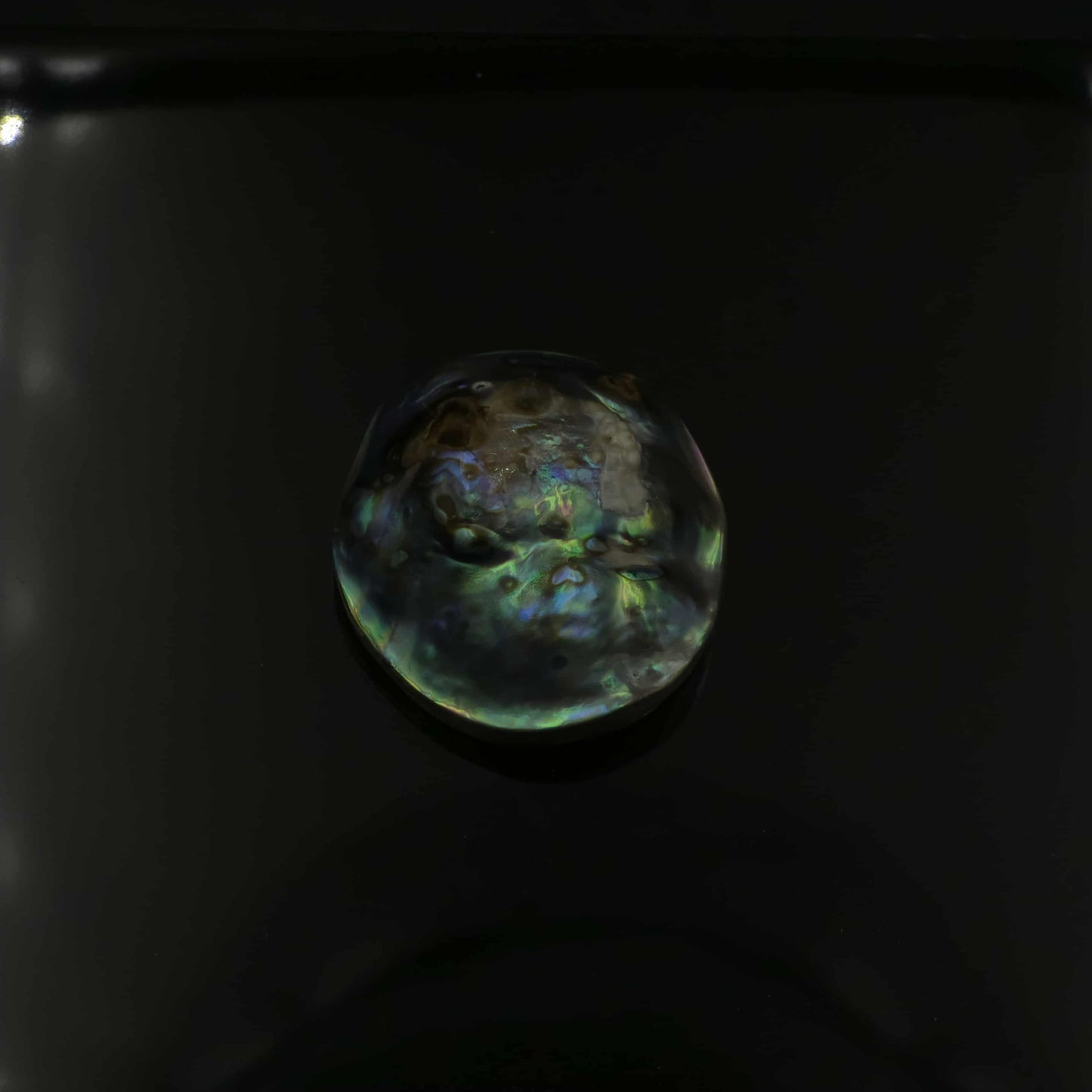 Wild Pāua Pearl Mabē