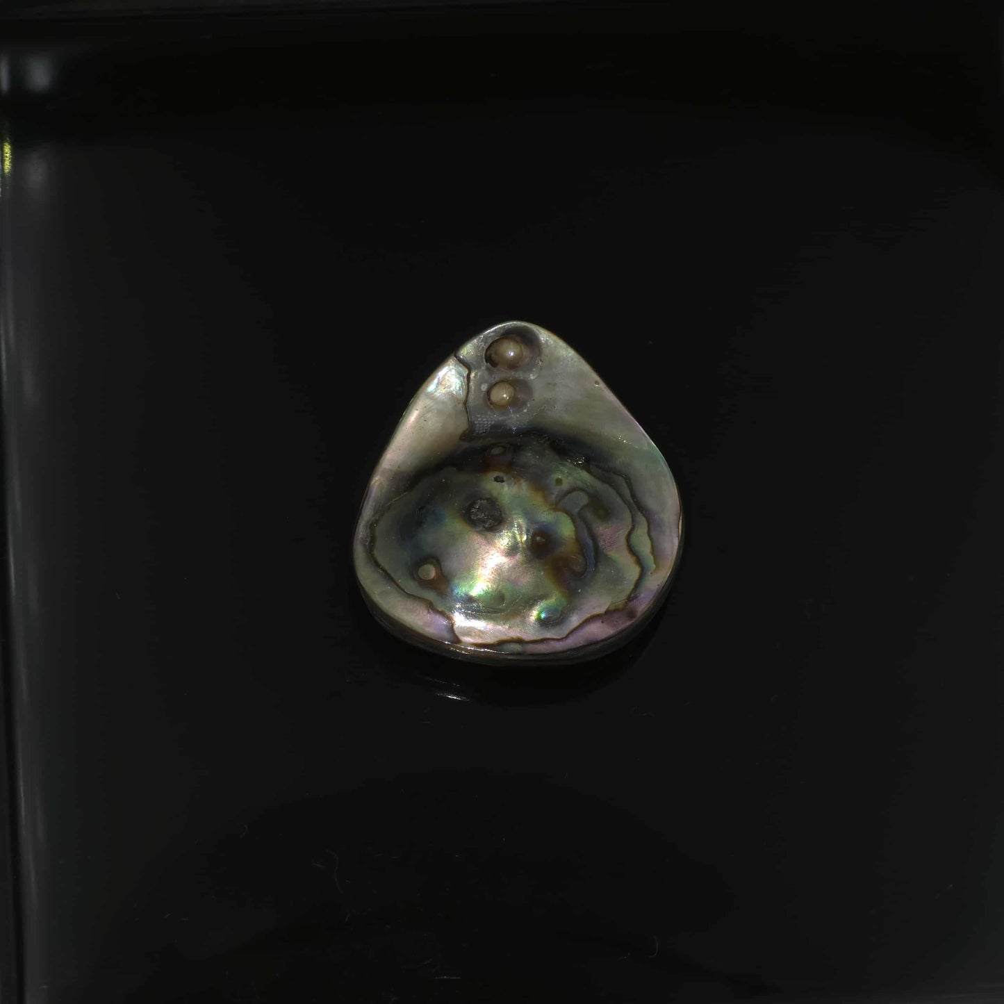 Wild Pāua Pearl Mabē