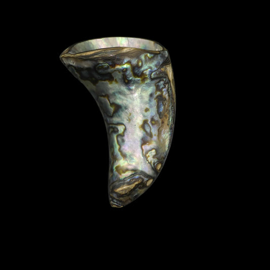 Wild Pāua Pearl Mabē Horn (Solid).