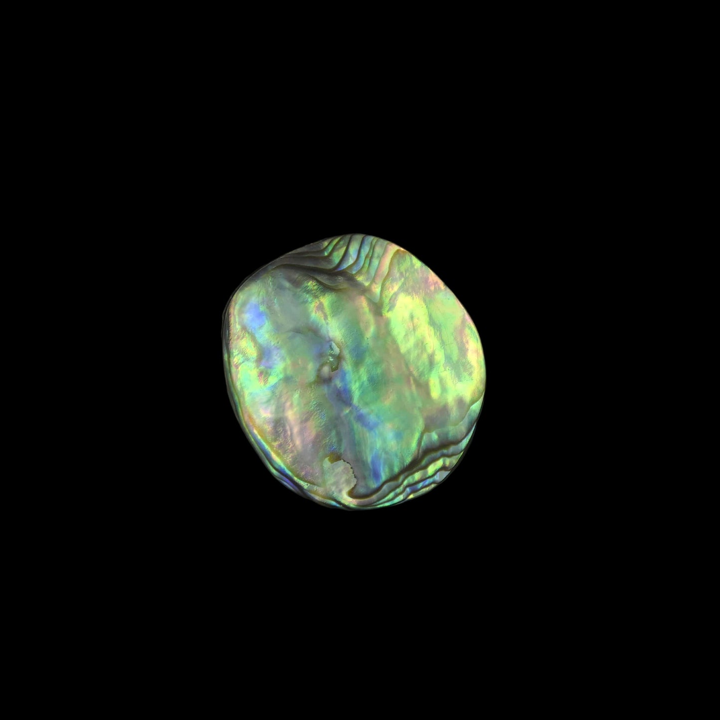 Wild Pāua Pearl Mabē