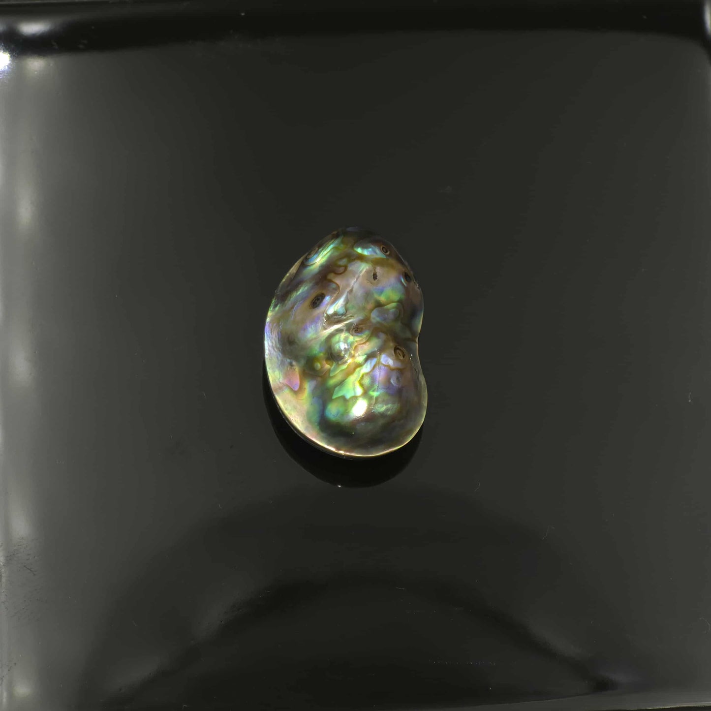 Wild Pāua Pearl Mabē