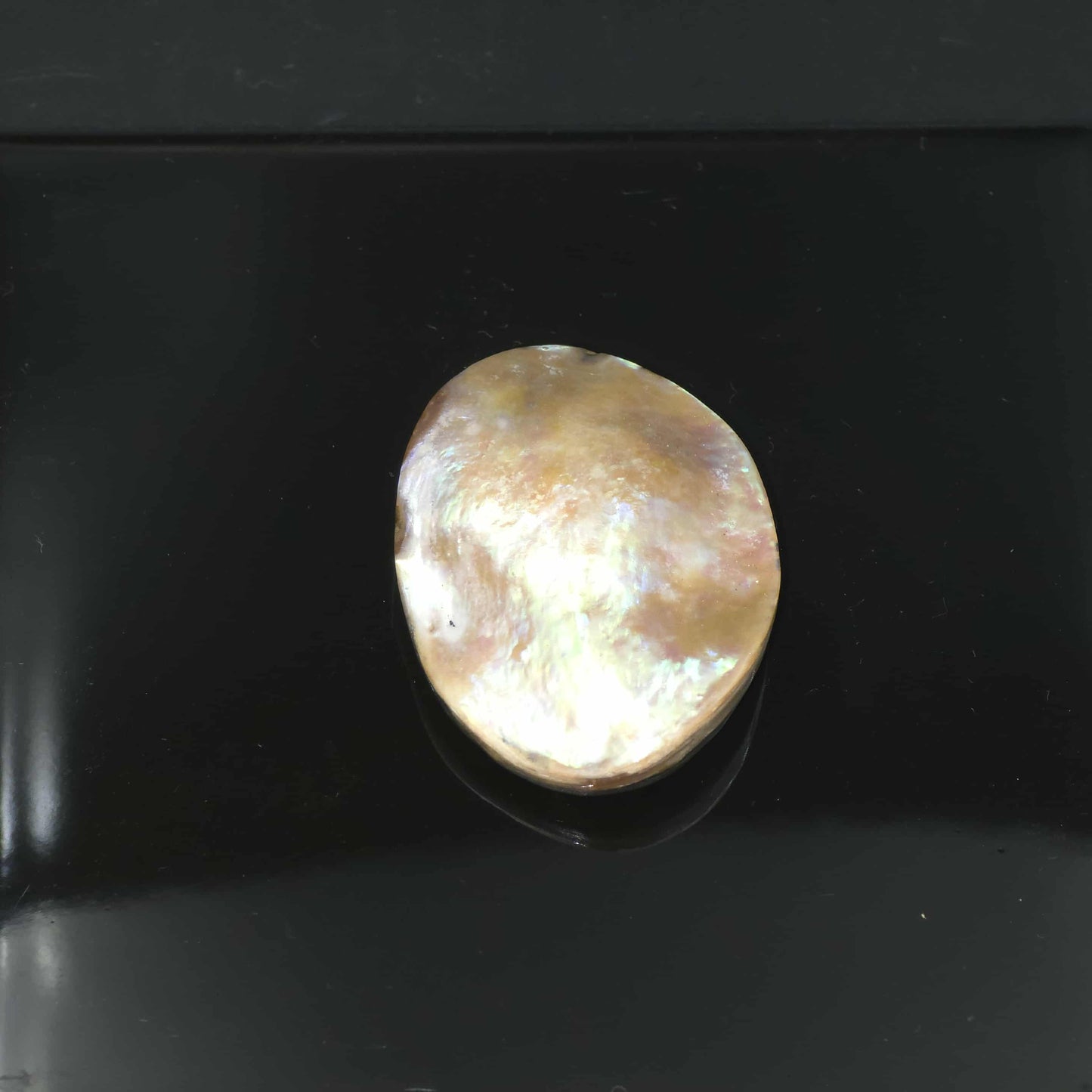 Wild Pink Pāua Pearl Mabē