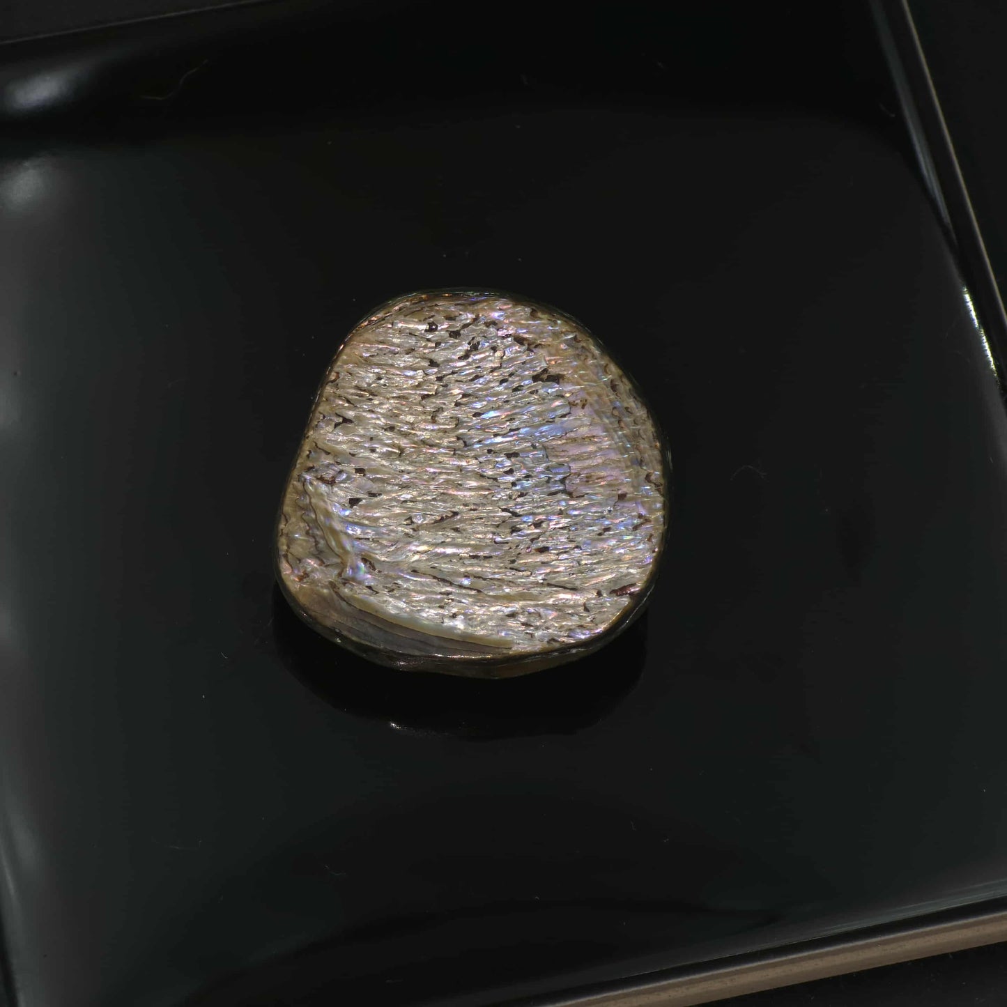 Wild Pāua Pearl Mabē