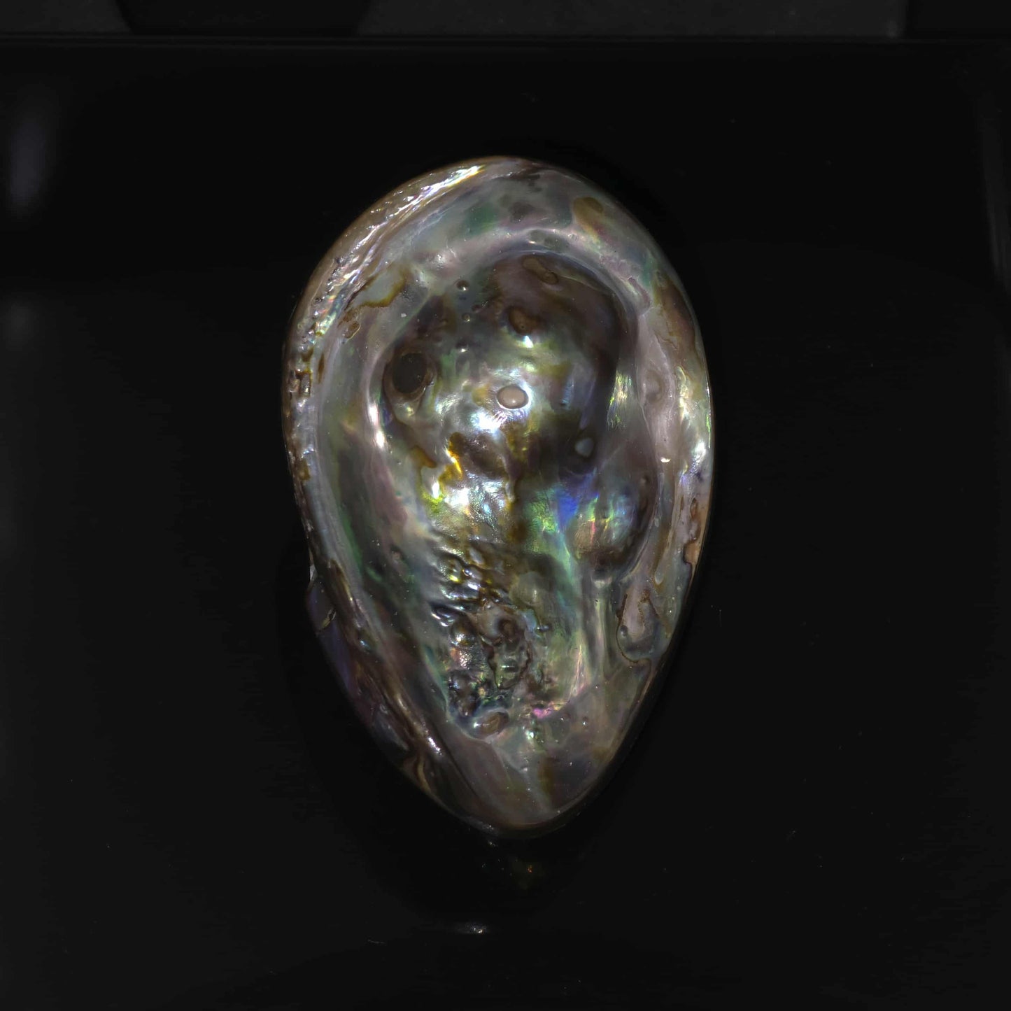 Wild Pāua Pearl Mabē (Solid)