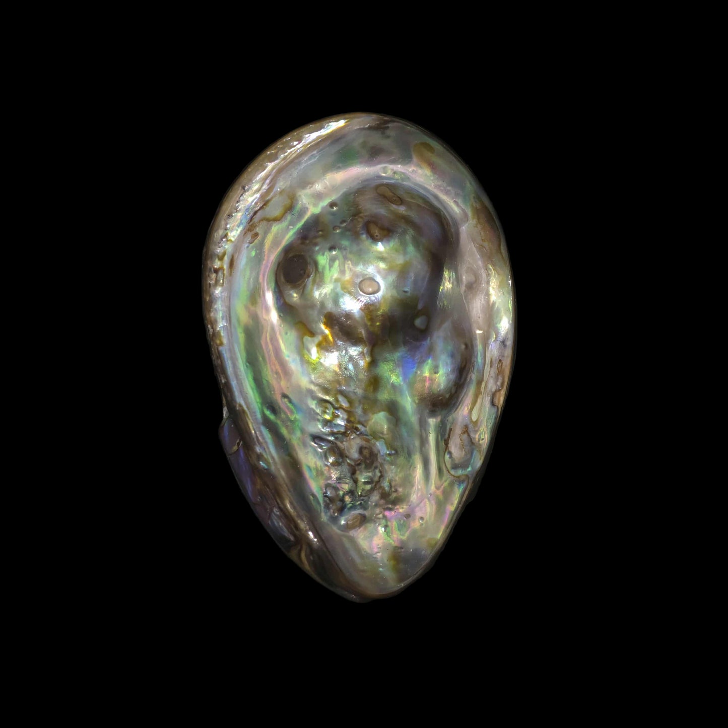 Wild Pāua Pearl Mabē (Solid)