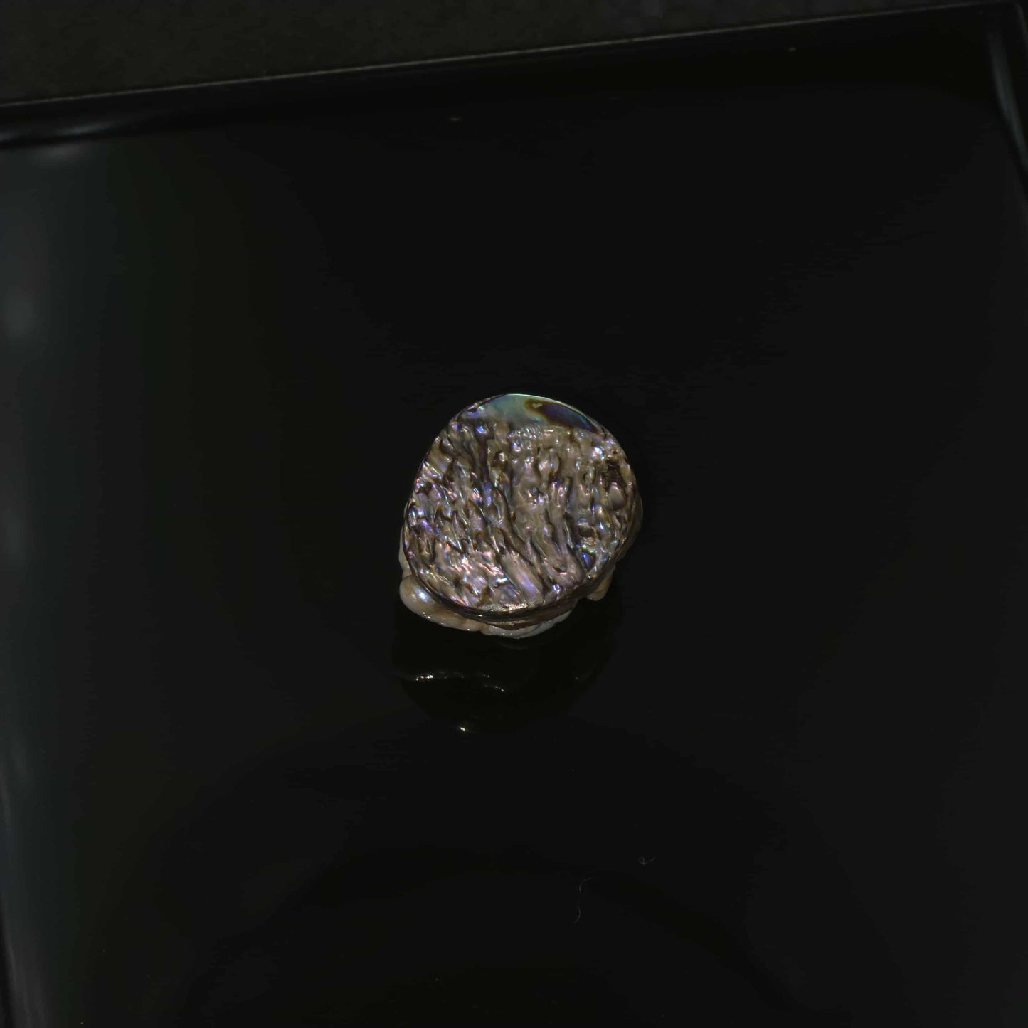 Small White Natural Wild Pāua Blister Pearl