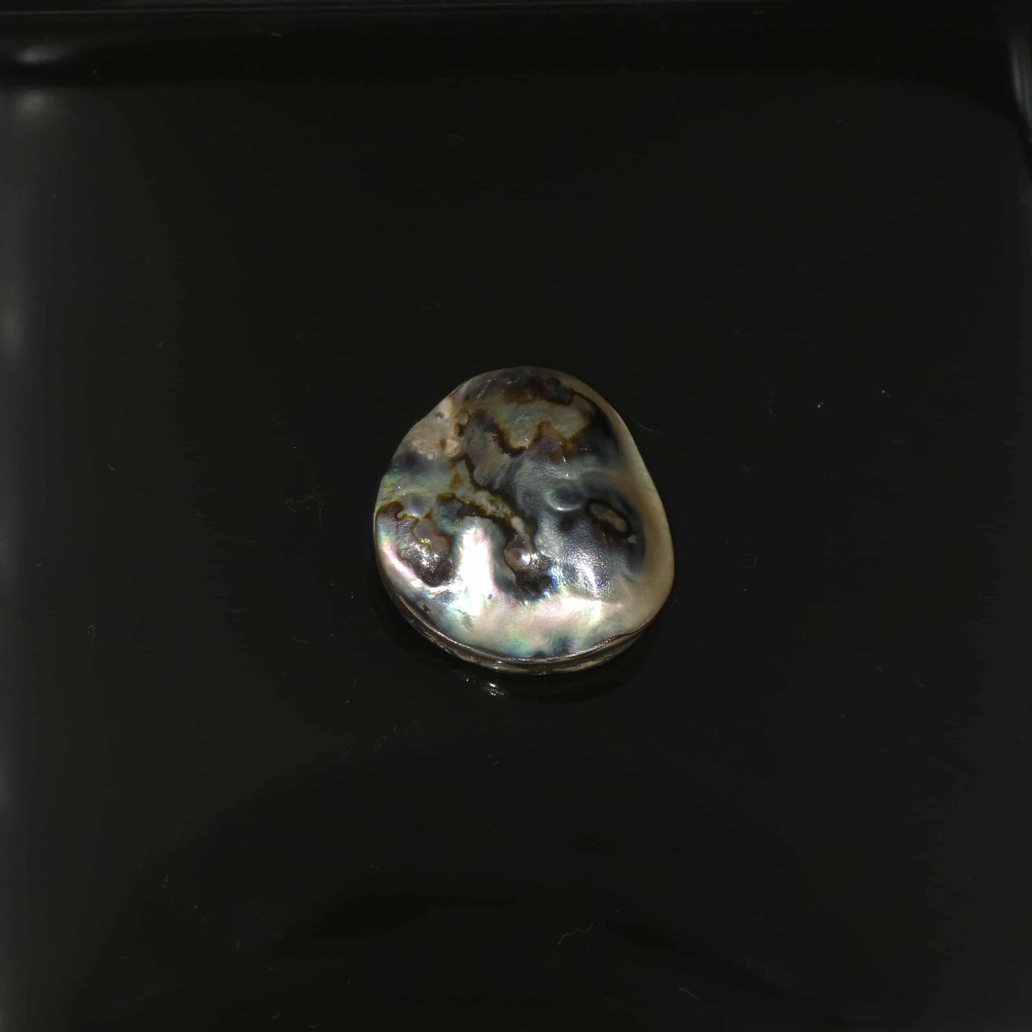 Wild Pāua Pearl Mabē