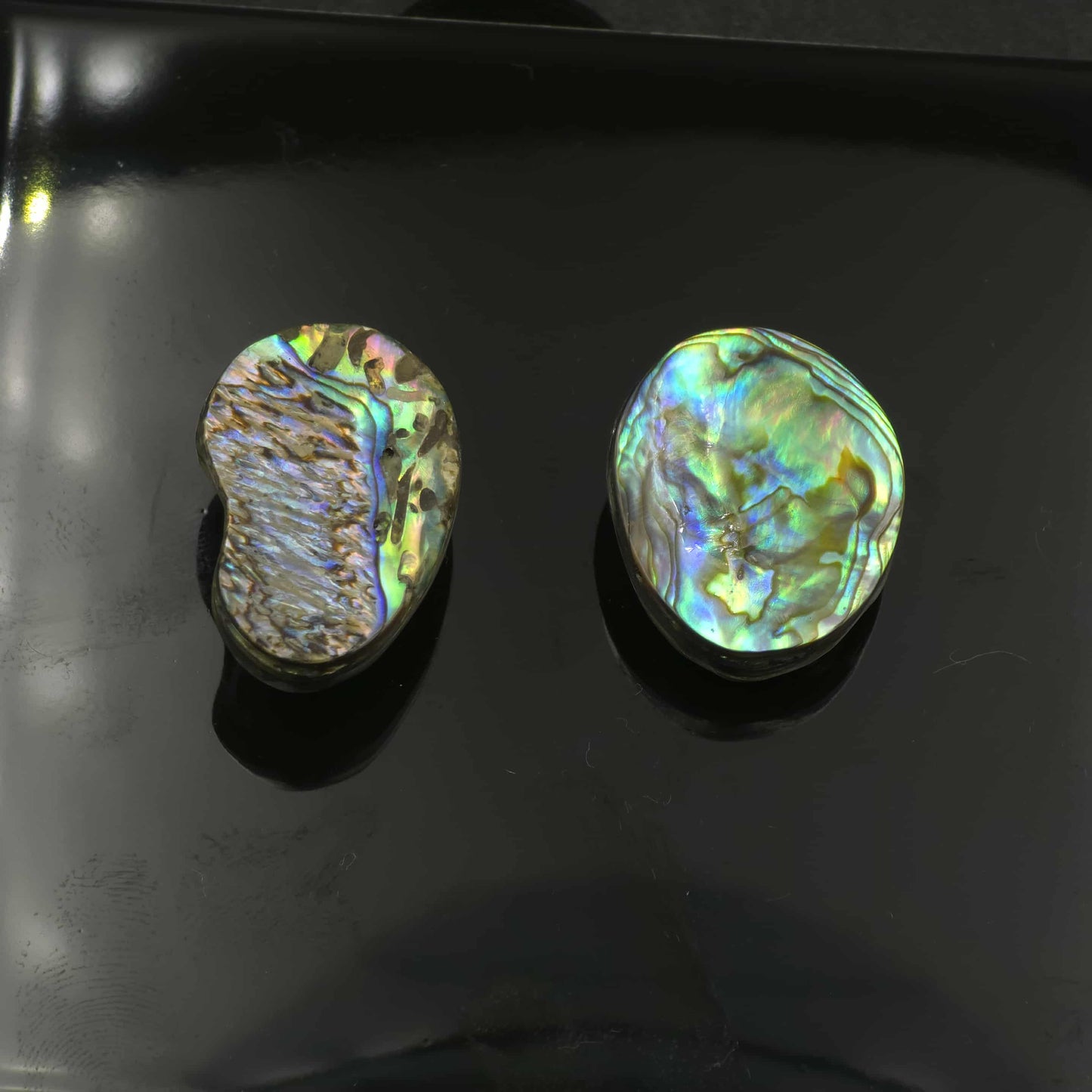 Wild Pāua Pearl Mabē