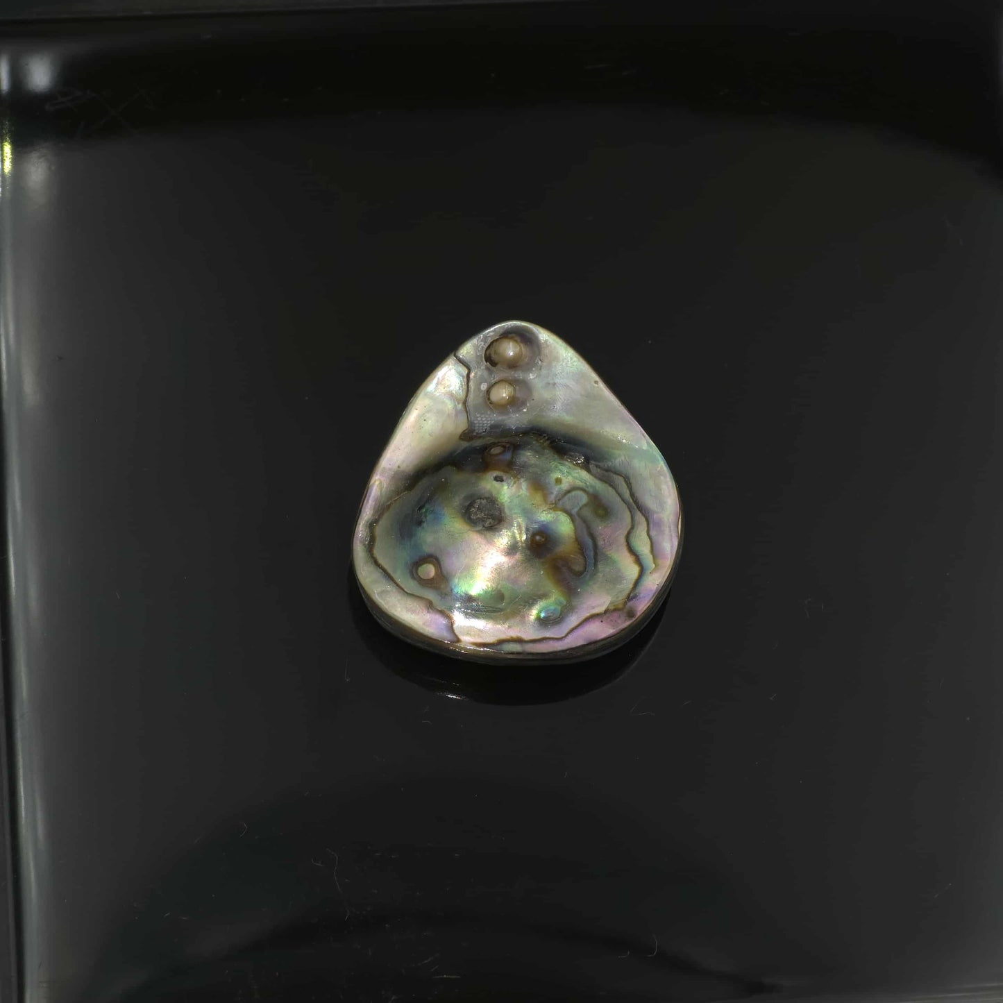 Wild Pāua Pearl Mabē