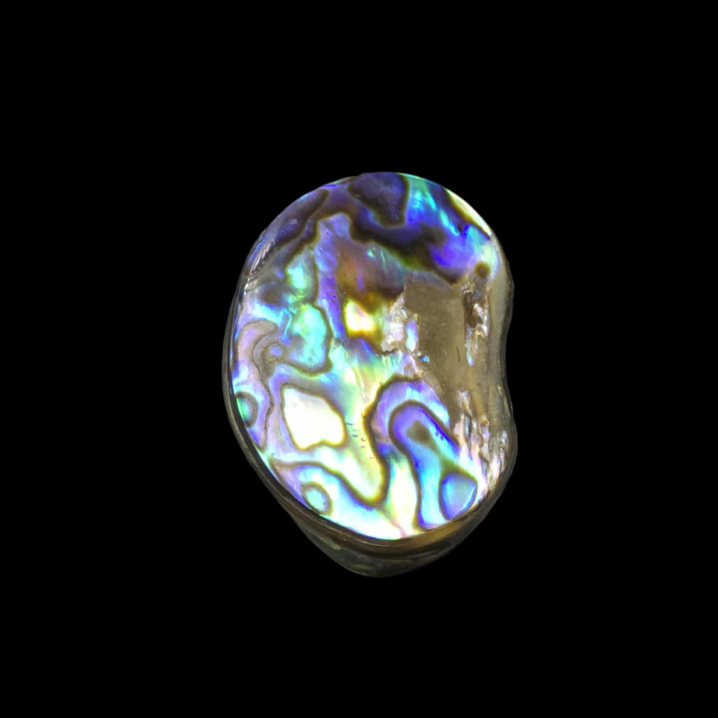 Wild Pāua Pearl Mabē