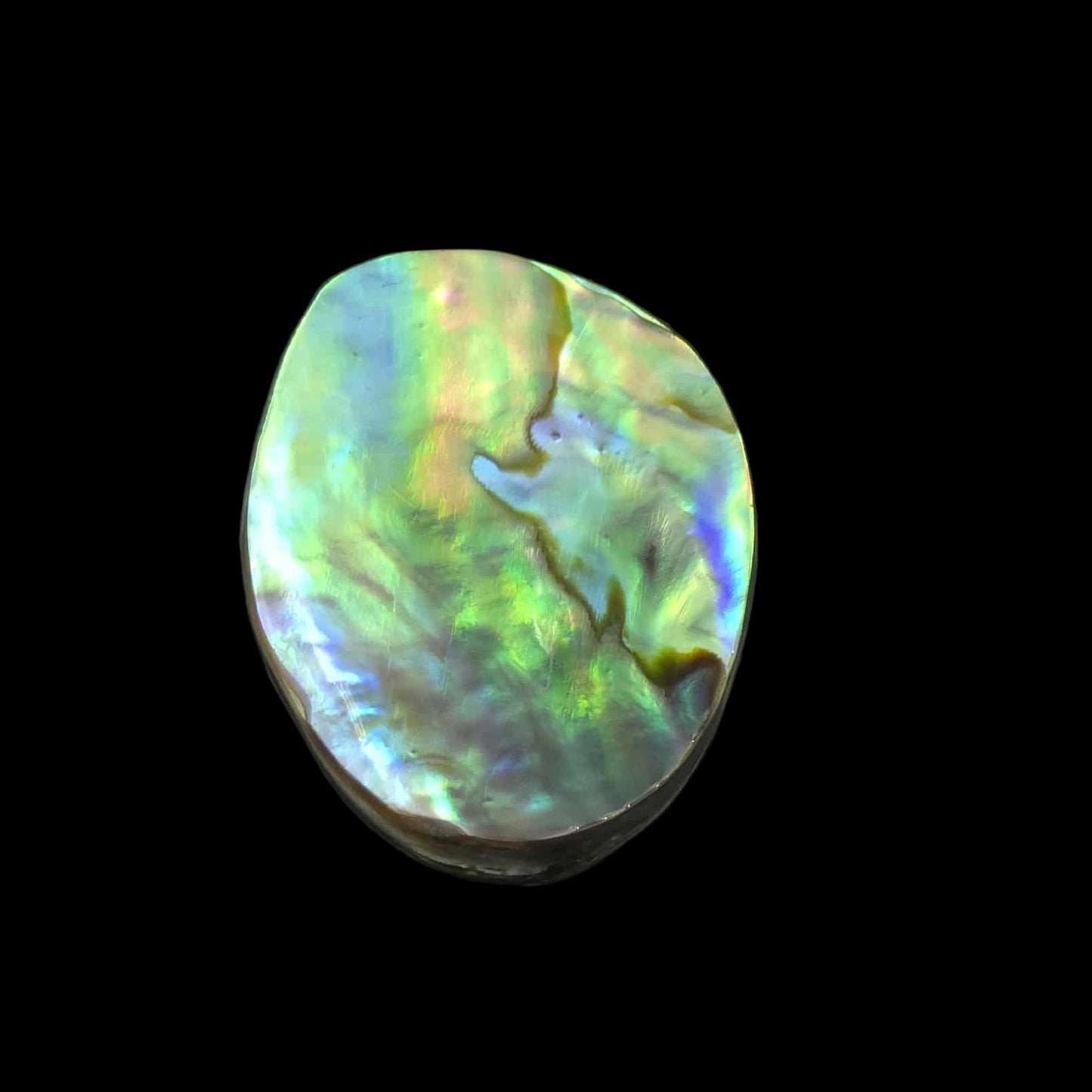 Wild Pāua Pearl Mabē