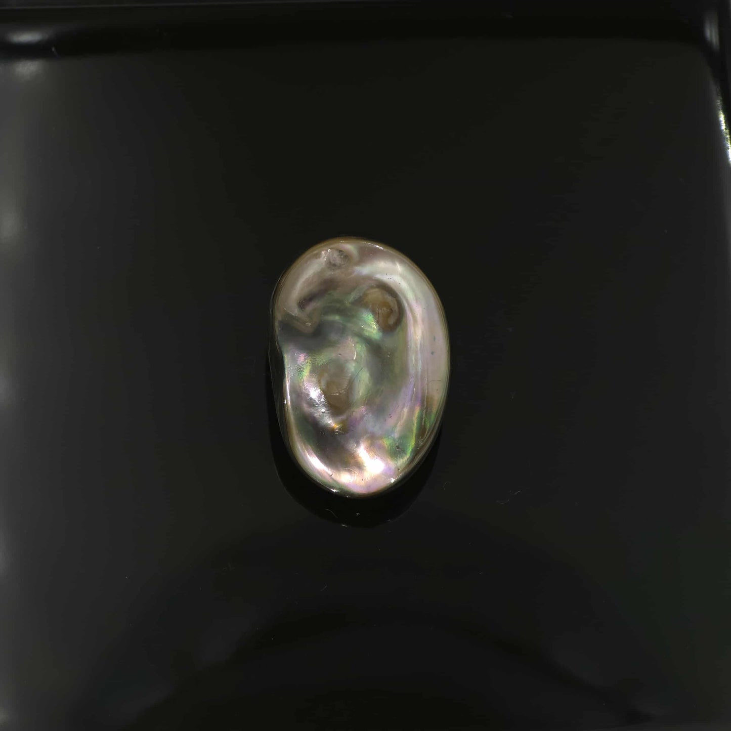 Wild Pāua Pearl Mabē