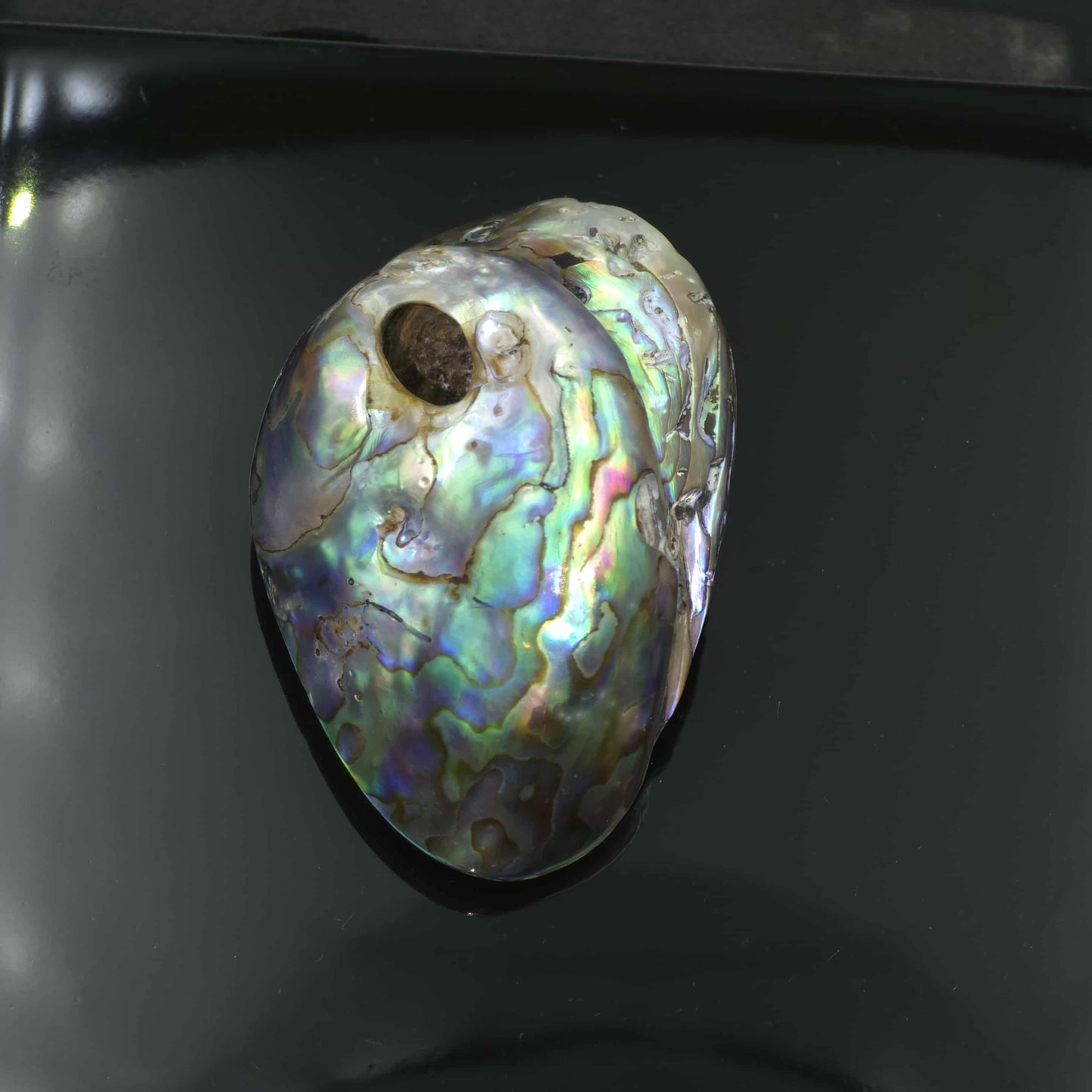 Wild Pāua Pearl Mabē (Solid)
