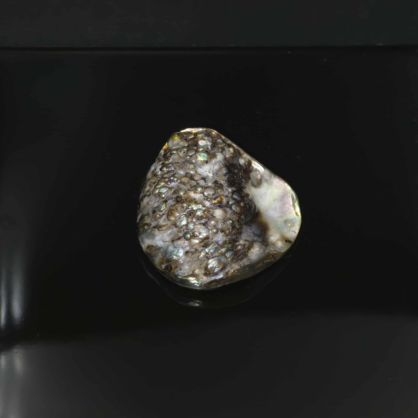 Wild Pāua Pearl Mabē