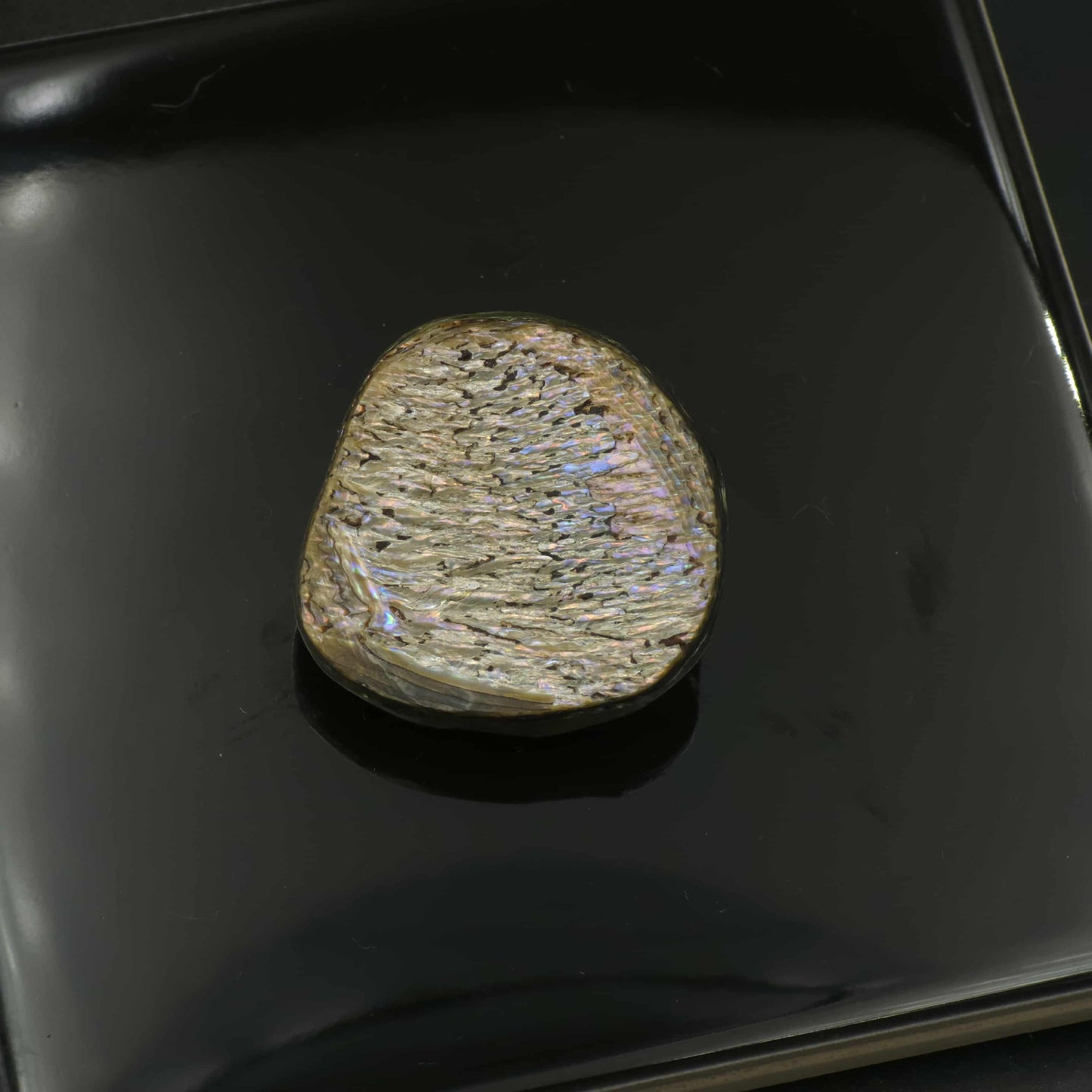 Wild Pāua Pearl Mabē