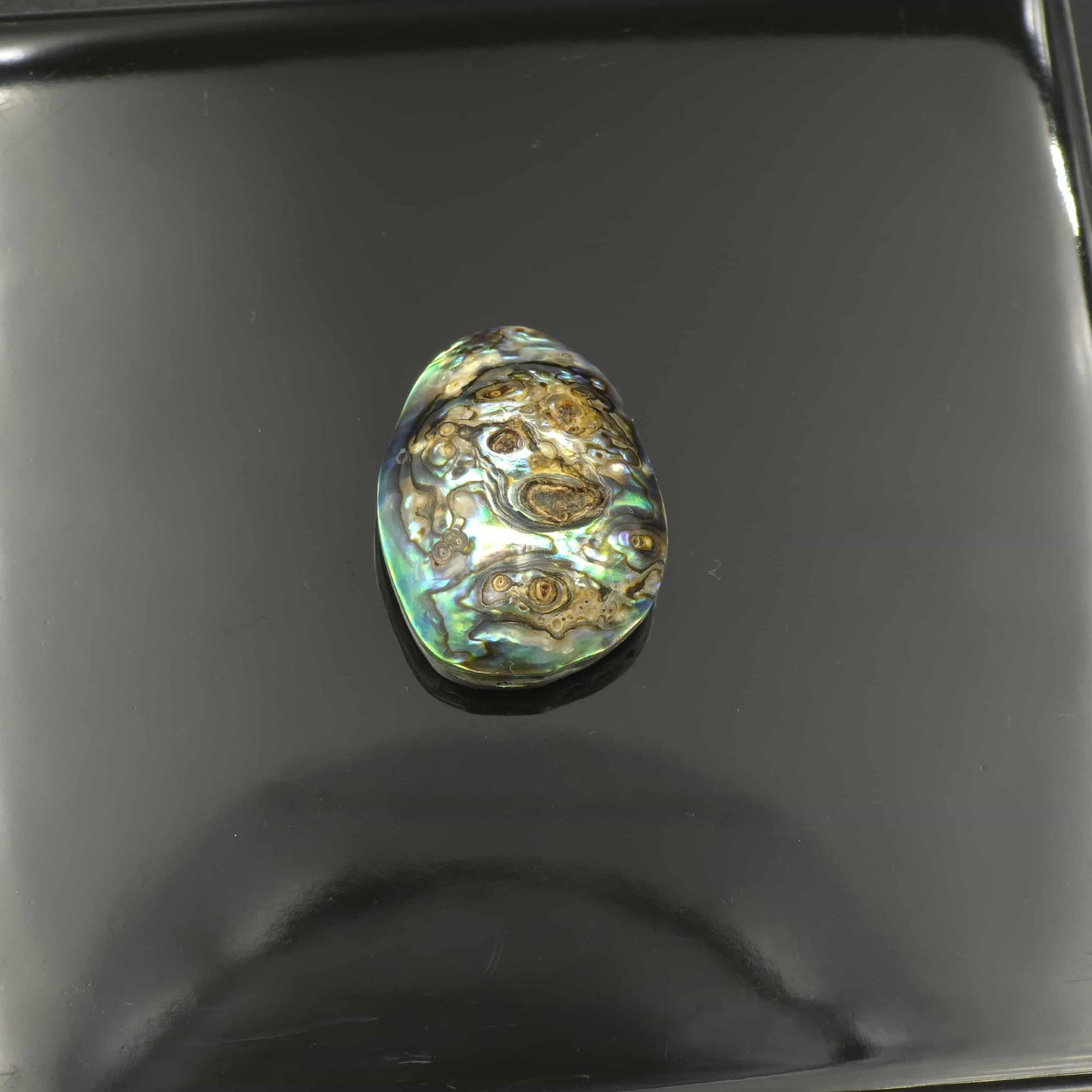 Wild Pāua Pearl Mabē