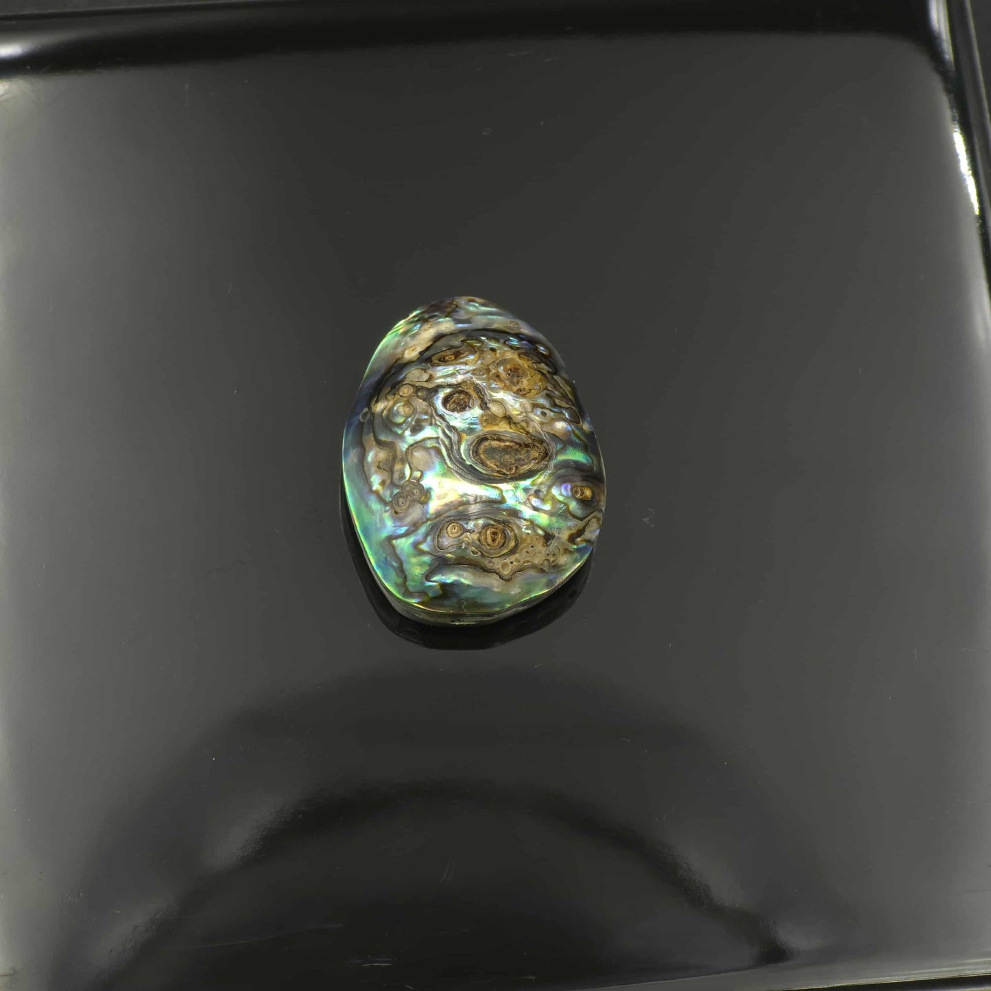 Wild Pāua Pearl Mabē