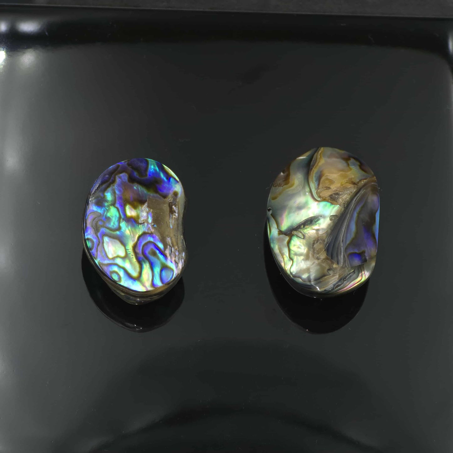 Wild Pāua Pearl Mabē