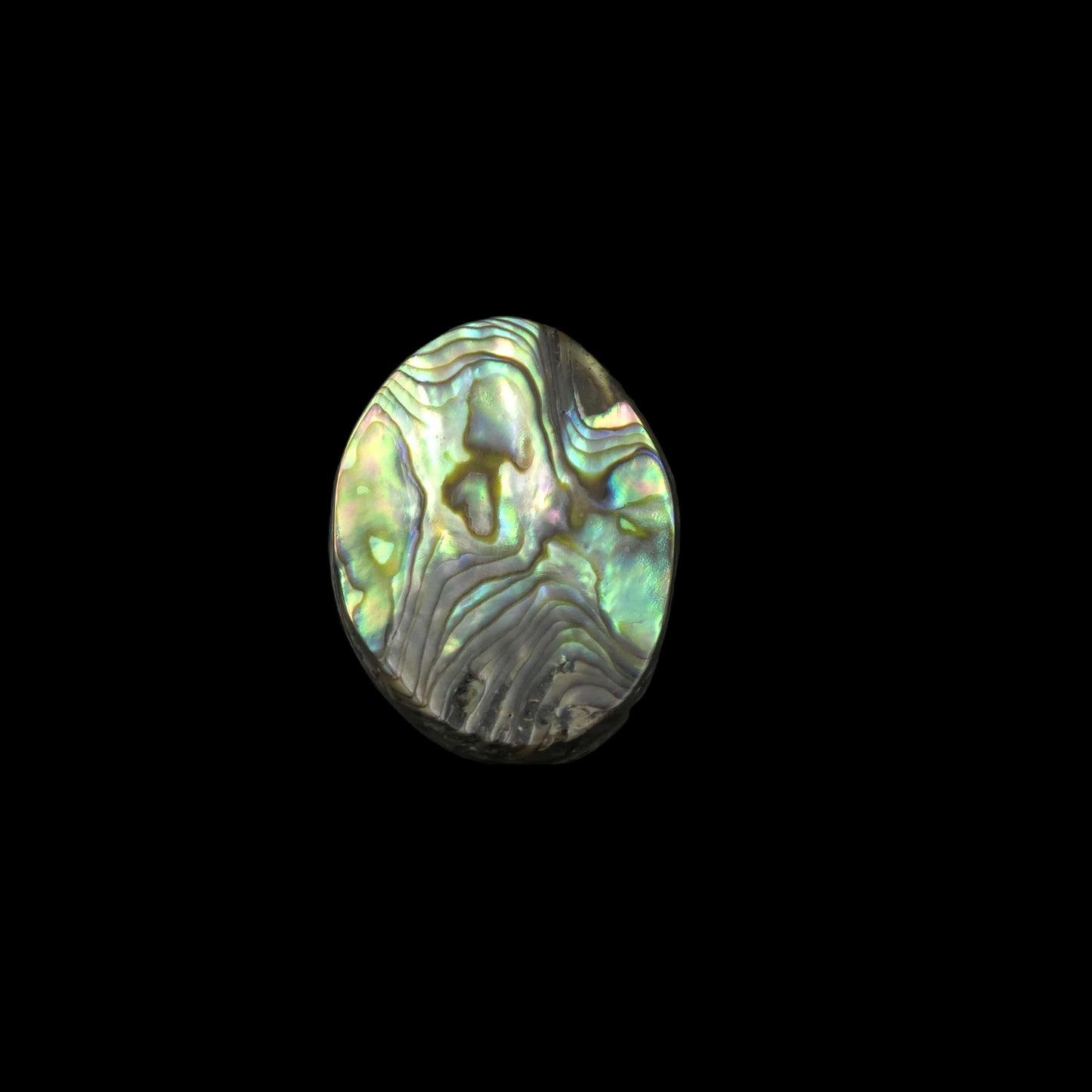 Wild Pāua Pearl Mabē