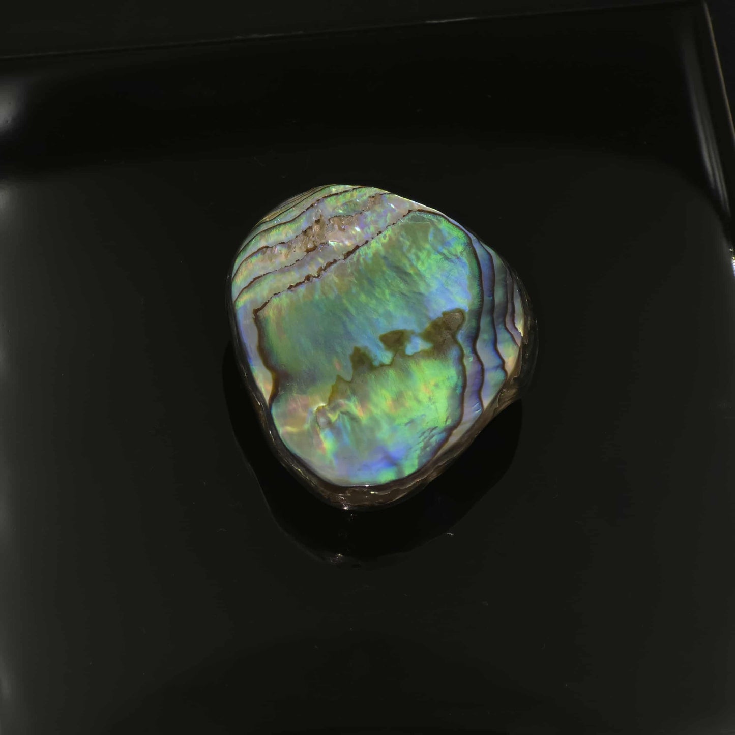 Wild Pāua Pearl Mabē