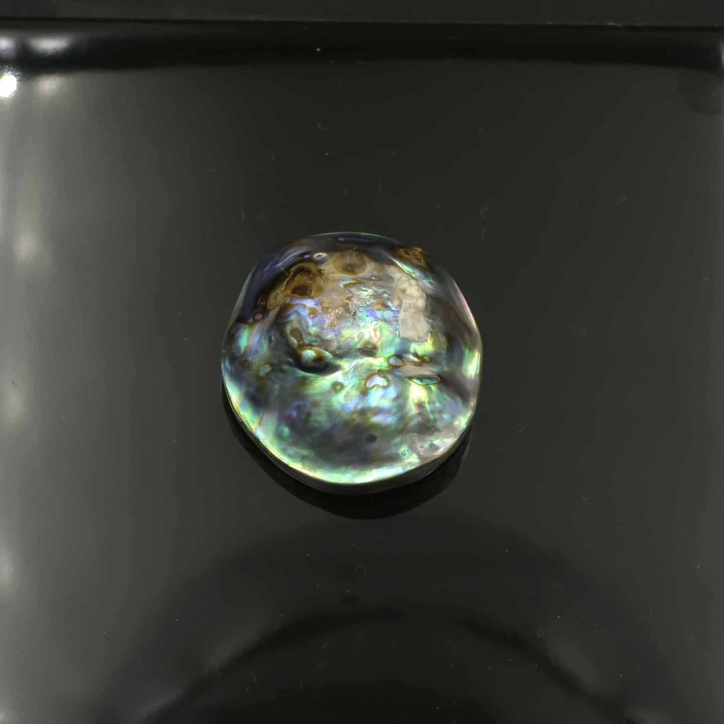 Wild Pāua Pearl Mabē