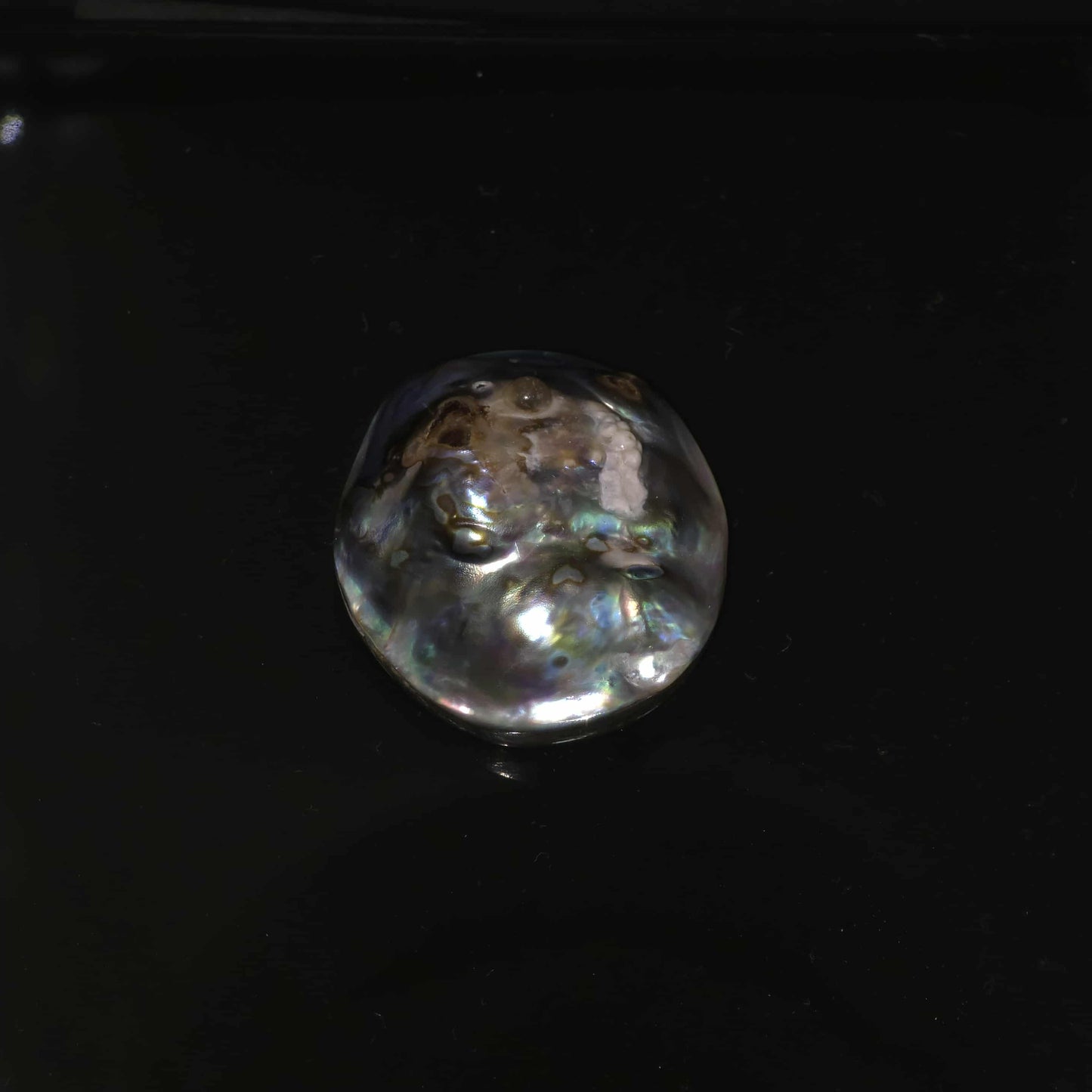 Wild Pāua Pearl Mabē