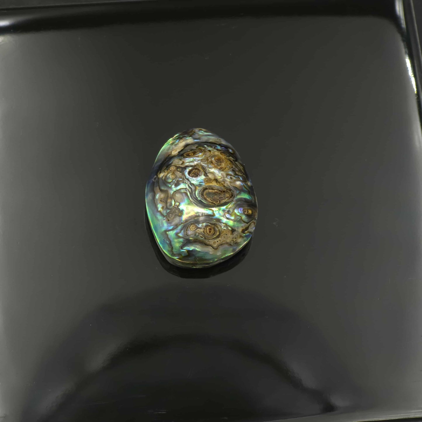 Wild Pāua Pearl Mabē