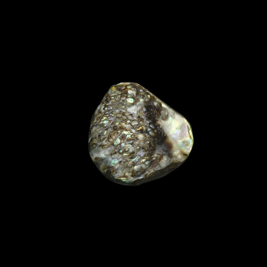 Wild Pāua Pearl Mabē