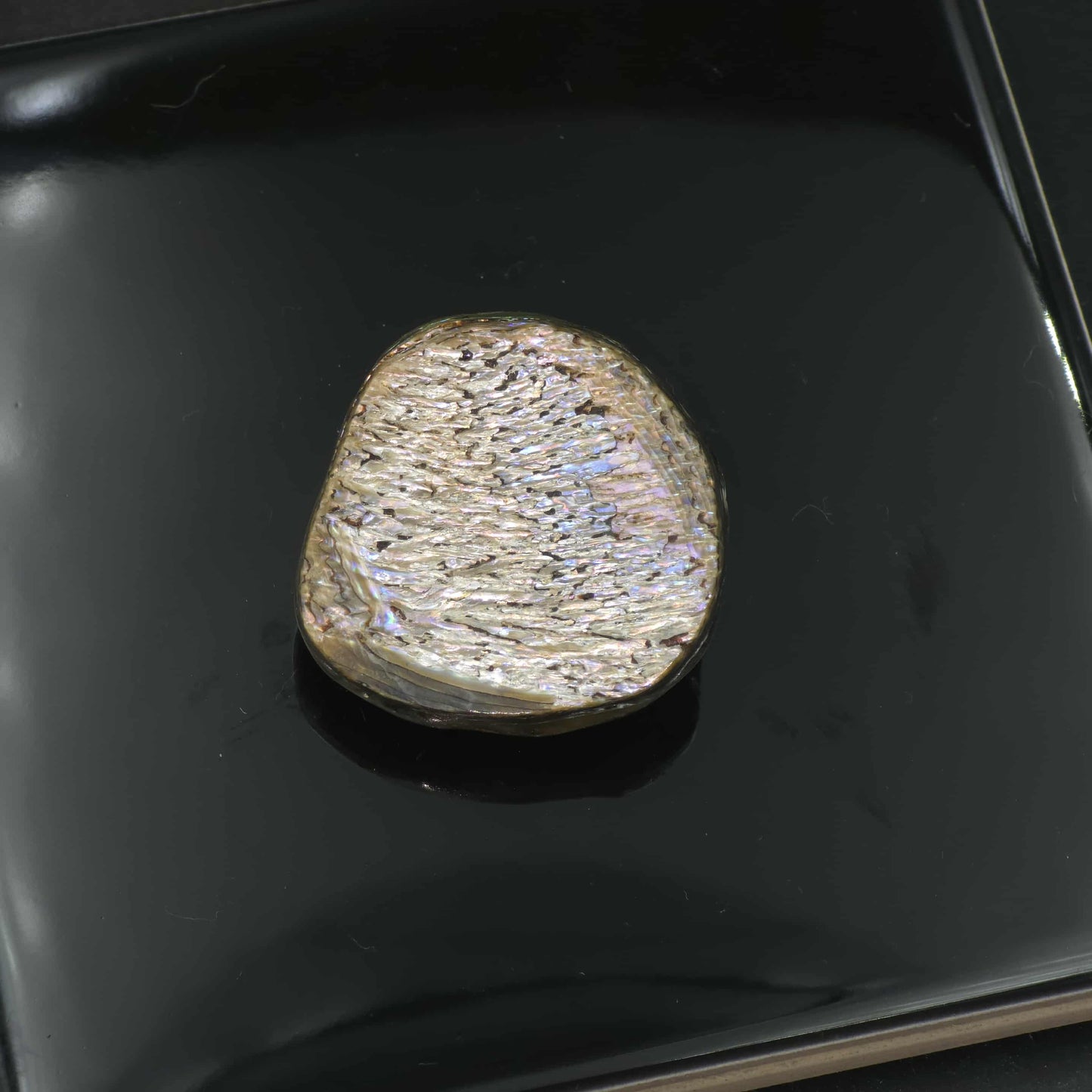 Wild Pāua Pearl Mabē