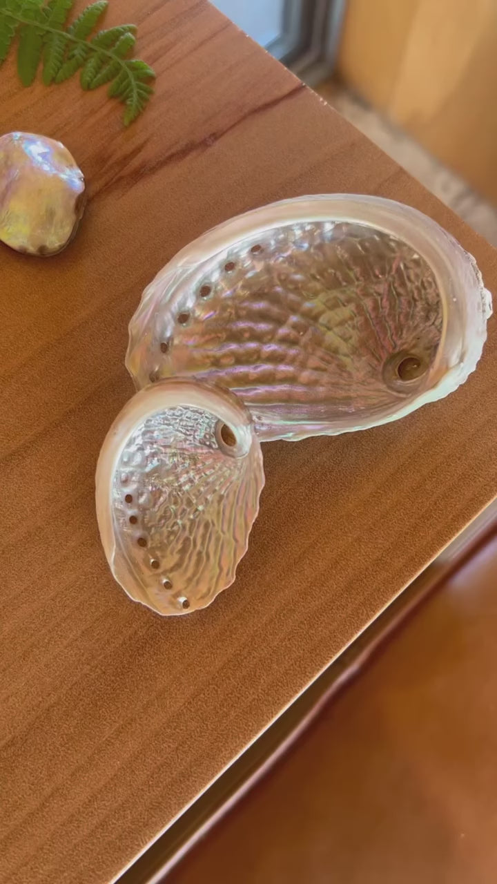 Load video: https://www.facebook.com/reel/863226065472653